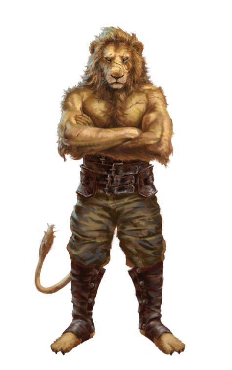 Were-Lion Brawler Warrior - Pathfinder PFRPG DND D&D d20 fantasy Lion Humanoid, Fantasy Races, Lion Art, High Fantasy, Fantasy Warrior, Arte Fantasy, Medieval Fantasy, Boku No Hero, Dnd Characters