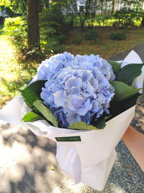 three hydrangea bouquet, white blue bouquet, bouquet in designer packaging, bouquet in kraft paper White Blue Bouquet, Blue Hydrangea Bouquet, Designer Packaging, Hydrangea Bouquet, Blue Bouquet, Blue Hydrangea, Kraft Paper, Hydrangea, White Blue