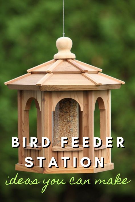 Want to attract colorful birds to your yard? A DIY bird feeder station is a fun and easy way to bring nature closer! Whether you’re creating a multi-feeder stand, a hanging tree station, or a rustic wooden perch, these DIY bird feeder station ideas will help you design a functional and stylish setup. Perfect for bird lovers, backyard gardeners, and nature enthusiasts!

#BirdFeederStation #DIYBackyard #BirdWatching #WildlifeGarden #HandmadeProjects #BackyardInspo #RusticDIY #BirdLovers #OutdoorDecor #NatureFriendly Bird Feeder Station Ideas, Bird Feeder Station, Backyard Birds Feeders, Diy Bird Feeder, Hanging Tree, Easy Diy Ideas, Diy Birds, Chip Carving, Nature Friendly