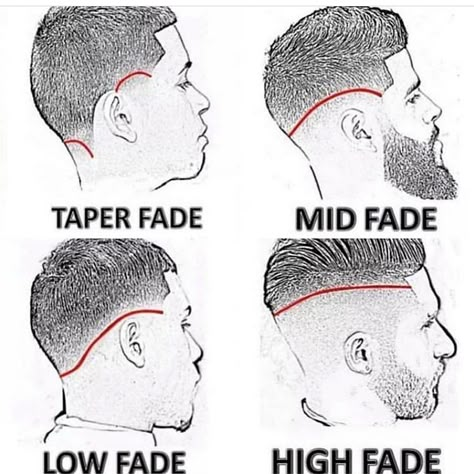 Bronner Bros on Instagram: “Which #fade is your preference? #bronnerbrosbeautyshow #bronnerbroshairshow #mytropicalroots #bronnernaturals #neworleans #pumpitup” Barber Haircuts Fade, Types Of Haircuts, Barber Haircuts, Hair Cut Guide, Hair For Men, Curly Hair Fade, Gents Hair Style, Black Men Haircuts, Mens Hairstyles Thick Hair