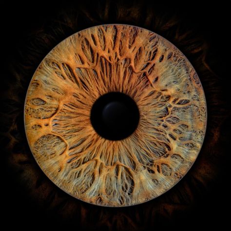 Iris Eye, Iris Painting, Digital Eye Strain, Black Holes, Diy Artwork, Eye Photography, Irises, Eye Art, Pretty Eyes