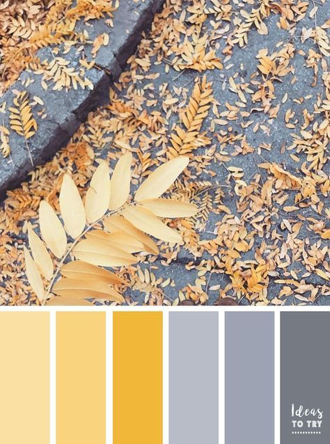 Mustard Lounge, Yellow Paint Colors, Yellow Palette, Color Palette Inspiration, Grey Palette, Yellow Colour Scheme, Color Palette Yellow, Color Schemes Colour Palettes, Palette Inspiration