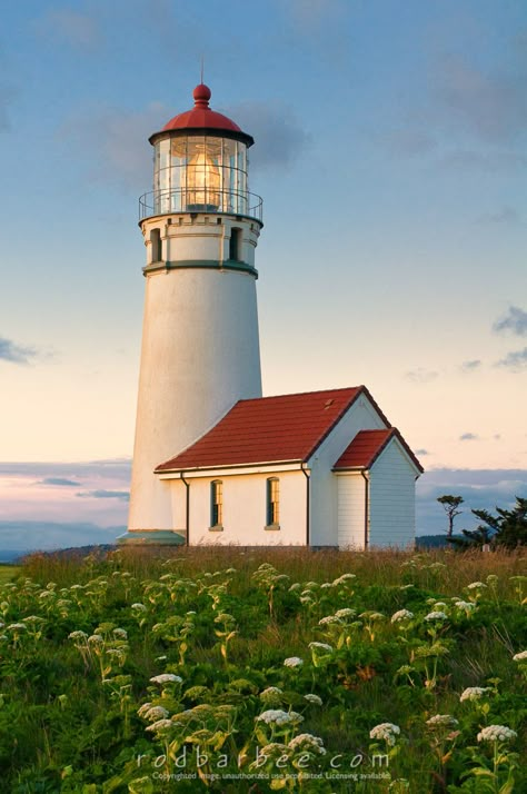 Ireland Lighthouses, Fisgard Lighthouse, Hook Lighthouse Ireland, Oak Island Lighthouse, Lighthouse On A Cliff, Life Drawing Reference, Lighthouse Painting, Lighthouse Photos, Ocean Landscape