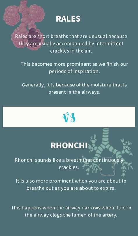 Rales and rhonchi are both types of lung sounds, but they are pronounced differently and have different causes. Learn the difference between the two so you can better understand your health. Find out more at www.difference.guru | biology Lung Sounds, Bad Cough, Breath Sounds, Lung Conditions, Health Guru, Breathing Problems, Lungs Health, Text Graphics, Daily Health Tips