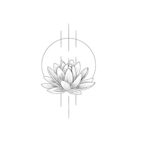 Lotusblume Tattoo, Small Lotus Tattoo, Water Lily Tattoos, Delicate Tattoos For Women, Lillies Tattoo, Lotus Flower Tattoo Design, Simple Tattoos For Women, Lotus Tattoo Design, Coffee Stations