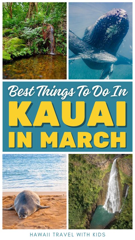 Discover Kauai's spring secrets this March! 🌴🌺 Our blog post unveils the island's must-dos, from spotting majestic humpback whales to wandering through the blossoming gardens at McBryde. Celebrate Hawaiian culture at the Prince Kuhio Festival and enjoy serene beach days with fewer crowds. Kauai in March offers a tranquil paradise awaiting your footsteps. #KauaiSpring Kauai In March, Best Places To Eat In Kauai, Places To Eat In Kauai, Hiking In Kauai, Kauai Hidden Gems, Guam Travel, Kauai Hotels, Kauai Travel, Hawaii Travel Guide