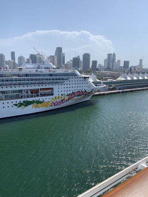 Cruise Boats at the Port of Miami Miami Cruise Port, Cruise Boat, Cruise Port, Cruises, Boats, Miami, Water, Floral