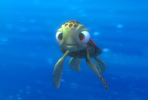 Finding Nemo Quotes, Nemo Quotes, Disney Finding Nemo, Pixar Characters, Disney Nerd, Film Disney, Disney Animals, Disney Favorites, Finding Nemo