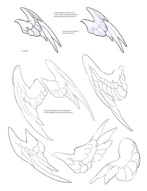 Bird Wing Anatomy Drawings, Wing Poses Drawing, Wings Art Tutorial, Wing Anatomy Reference, Bird Wings Sketch, Winged Character Poses Reference, Avian Humanoid Wings, Bird Wing Drawing Reference, Growing Wings Art