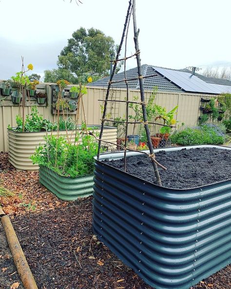 Birdies Garden Products on Instagram: “@gardeningwithmichael Spent the weekend building and filling my new raised veggie bed. 👌🏼 • • • #birdiesgardenproducts #australianmade…” Raised Garden Beds Ideas, Garden Beds Ideas, Raised Veggie Beds, Beds Ideas, Garden Plots, Veggie Patch, Veg Garden, Garden Products, Grow Your Own Food