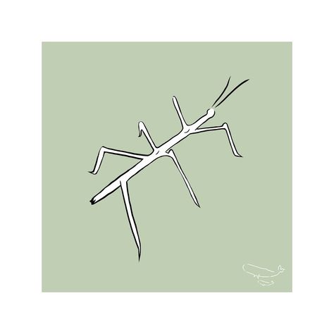 A white square that contains another square that is pastel green. In the middle, a black and white icon of a stick insect can be seen. Stick Insect Drawing, Stick Bug Drawing, Stick Insect Tattoo, Stick Bug Tattoo, Digital Icon, Bugs Drawing, Stick Bug, Stick Insect, Bug Tattoo