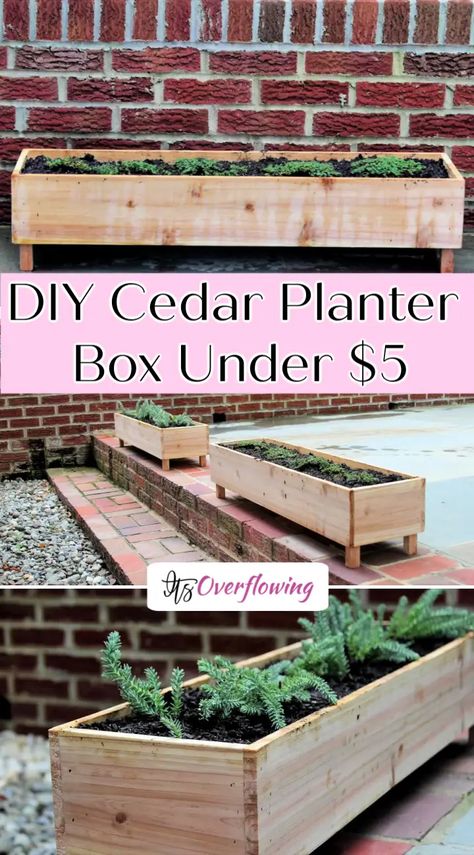 DIY Cedar Planter Box Under $5 - Its Overflowing Diy Cedar Planter, Diy Cedar Planter Box, Diy Wood Planters, Cedar Planter Box, Raised Planter Boxes, Diy Planter, Cedar Planters, Garden Planter Boxes, Diy Planter Box