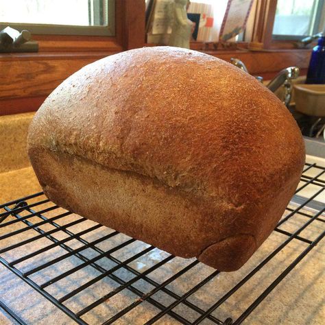 High Fiber Bread Recipe, Bran Bread Recipe, Best Whole Wheat Bread, Bran Bread, Sunflower Seed Bread, Fiber Bread, Honey Oat Bread, Rye Bread Recipes, Honey Wheat Bread