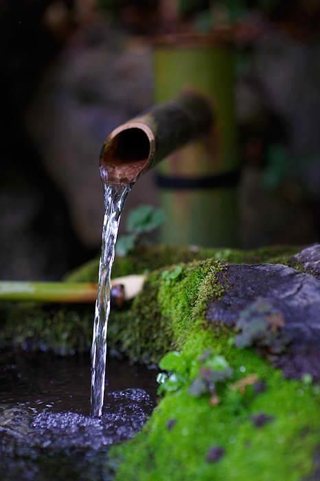 Garden serenity. Arbaz Khan, Image Zen, Nice House, Water Features In The Garden, Water Faucet, Garden Fountains, Alam Yang Indah, Garden Cottage, Zen Garden