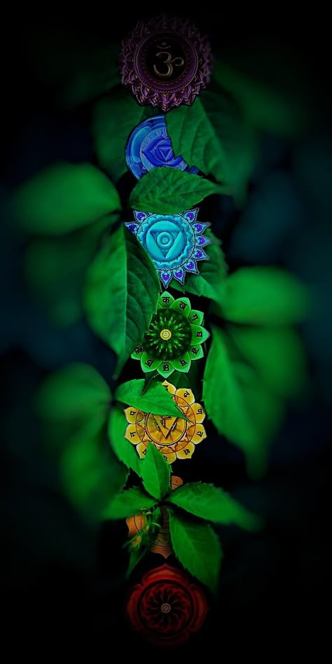 Chakras (1080x2160) 7 Chakras Wallpaper Iphone, 7 Chakras Wallpaper, Chakras Wallpaper, Chakra Meditation Art, Buddha Wallpaper Iphone, Zen Wallpaper, Attractive Wallpapers, Amoled Wallpapers, Chakra Art