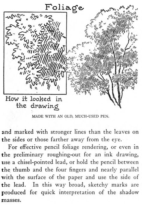 Draiwng shrubs trees and bushes Bush Reference Drawing, Tree Foliage Drawing, Tree Manga Drawing, Manga Tree Drawing, How To Shade Trees Drawing, Drawing Foliage Tutorial, Simple Bush Drawing, Tree Hatching Drawing, Bushes Reference