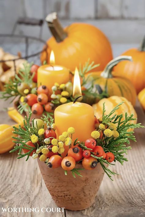 Types Of Color Schemes, Rose Hips, Fall Planters, Summer Pillows, Mocktail Recipe, Thanksgiving Table Decorations, Easy Thanksgiving, Christmas Fireplace, Fall Scents