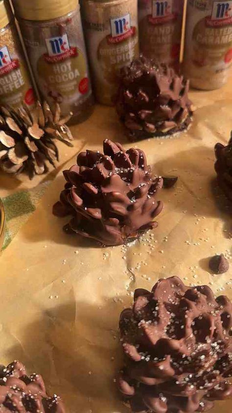 Festive Pinecone Truffles – Perfect Holiday Dessert Recipe - Munchies By Mallory Pine Cone Truffles, Butterfly Dessert Ideas, Pinecone Dessert, Pinecone Truffles, Nonpareils Recipe, Meatball Sliders Hawaiian Rolls, Easy Meatball Sliders, Pinecone Cookie, Pinecone Cookies