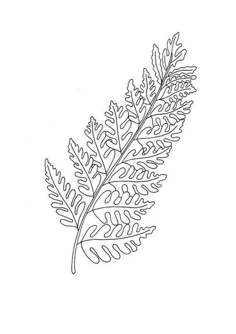 Fern Leaf Print Bracken Wall Art Black & White Illustration | Etsy | Simple line drawings, Leaf drawing, Black and white drawing Leaf Drawing Simple, Fern Outline, Fern Leaf Drawing, Lino Flowers, Drawing Foliage, Creations Ceecee, Fern Illustration, Bracken Fern, Plant Drawings