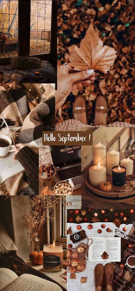 Hello September Aesthetic Wallpaper, Fall Wallpaper Aesthetic September, October Autumn Wallpaper, Cute Autumn Aesthetic Wallpaper, Fall 2023 Wallpaper, September Screensavers Wallpapers, September Wallpapers Aesthetic, August Asethic Wallpaper, September Aesthetic Photography