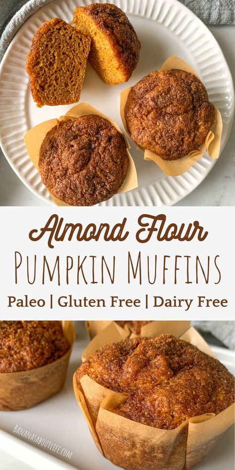 Pumpkin muffins healthy Pumpkin Muffins Almond Flour, Gluten Free Muffins Easy, Dairy Free Pumpkin Muffins, Muffins Made With Almond Flour, Almond Flour Pumpkin Muffins, Almond Flour Pumpkin, Healthy Pumpkin Muffins, Paleo Pumpkin Muffins, Dairy Free Muffins