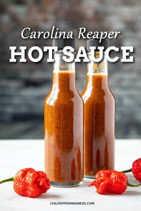 Carolina Reaper Hot Sauce Recipe - This homemade Carolina Reaper hot sauce recipe is incredibly hot, made with roasted Carolina Reaper peppers, garlic, and onion. It doesn’t get any hotter! #HotSauce #CarolinaReaper #Hottest Carolina Reaper Hot Sauce Recipe, Chili Powder Recipe, Hot Pepper Recipes, Recipes Chili, Carolina Reaper Pepper, Hot Sauce Recipe, Pepper Sauce Recipe, Homemade Hot Sauce, Paprika Sauce