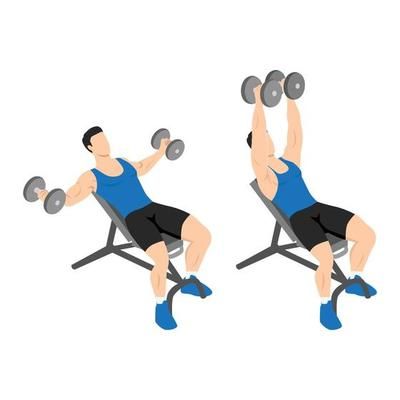 Man doing Dumbbell stiff leg deadlift exercise. Flat vector illustration isolated on white background 8418270 Vector Art at Vecteezy Fly Exercise, Stomach Abs, Stiff Leg Deadlift, Dumbbell Fly, Man Working, Flat Vector Illustration, Leg Lifts, Cityscape Photos, Flat Vector