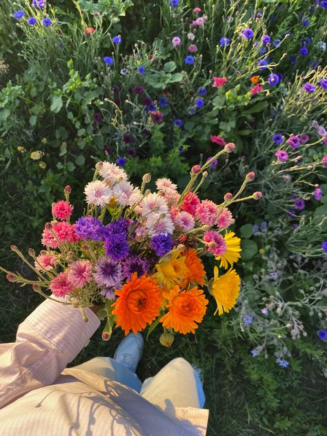 Aesthetic it girl summer wildflower|
cornflower bouquet Wildflower Prom Bouquet, Wildflower Bouquet Aesthetic, If I Had A Flower For Every Time, Wild Flower Aesthetic, Wild Flowers Bouquet, Wild Flower Garden, Bouquet Wildflower, Wildflowers Bouquet, Wild Flower Bouquet