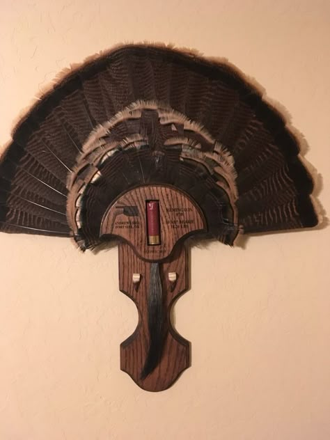 Turkey Tail Fan Mount Ideas, Turkey Tail Mount Ideas, Turkey Mounts Ideas, Turkey Tail Mount, Turkey Mount Ideas Display, Diy Turkey Mount, Turkey Mounts Taxidermy, Turkey Fan Mount Ideas, Turkey Fan Display