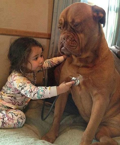 25 Adorable Photos That Prove Why Babies Need Pets Happy Happy Happy, 강아지 그림, Love My Dog, Big Dog, Memes Humor, Refrigerator Magnet, Main Game, E Card, Pet Loss