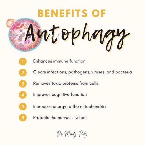 Dr Mindy Pelz Fasting, Mindy Pelz Fasting, Cellular Detoxification, Autophagy Fasting, What Is Autophagy, Dr Mindy Pelz, Improve Cognitive Function, Remove Toxins, Wellness Center