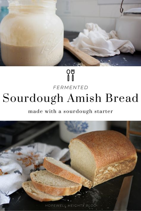 Sourdough Amish Bread Moist Sourdough Bread, Long Fermented Sourdough Bread, Amish Sourdough Bread Recipe, Amish Starter, Hopewell Heights, Ancestral Eating, Sourdough Sandwich Loaf, Amish Bread Recipes, Sourdough Sandwich Bread