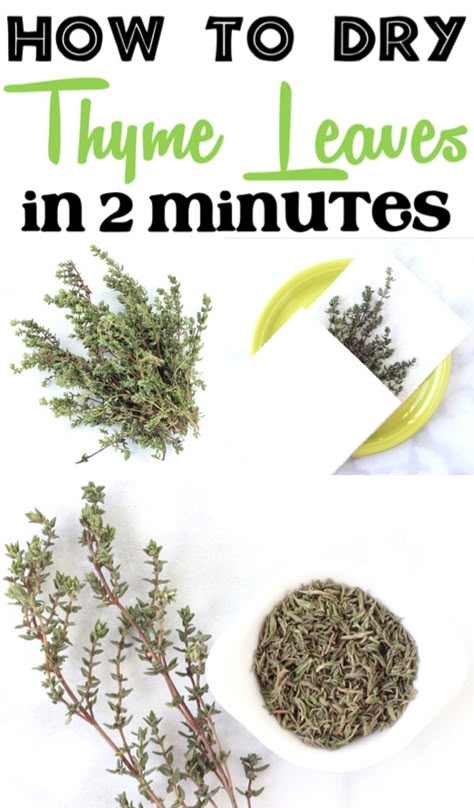 How to Dry Thyme Plant Leaves Fast in Microwave! Perfect for recipes, this is such an easy way to use up your extra thyme from your garden or the grocery store! Drying Thyme, Garlic Ribs Recipe, Thyme Uses, Honey Garlic Ribs, Preserve Fresh Herbs, Drying Fresh Herbs, Mason Jar Herbs, Thyme Plant, Mason Jar Herb Garden