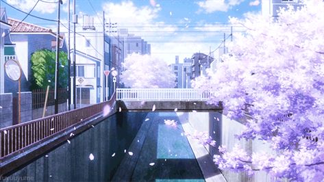 anime and nature >>>>>> Aesthetic Rose, Anime Places, Moving Backgrounds, Anime City, Scenery Background, Anime Gifs, Anime Backgrounds Wallpapers, Chroma Key, Anime Gifts