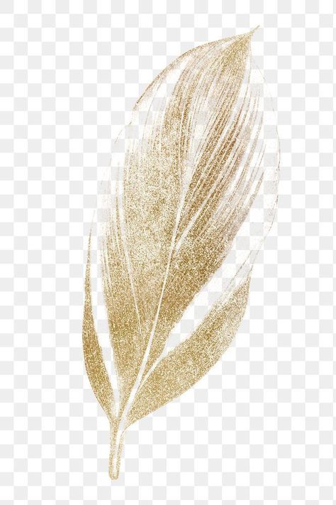 Feather Png, Golden Feather, Leaf Png, Line Art Flowers, Art Coquillage, Wedding Card Frames, Watercolour Texture Background, Floral Cards Design, Digital Invitations Wedding