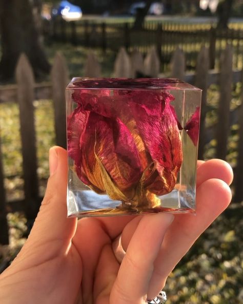 Bupp Woodworks on Instagram: “Dark pink rose in clear epoxy resin cube paperweight. . . . #buppwoodworks #epoxy #epoxyresin #resin #resinart #resinmold #epoxymold…” Resin Paperweights, Clear Epoxy Resin, Resin Artwork, Clear Epoxy, Resin Casting, Glitter Stars, Fine Woodworking, How To Preserve Flowers, Resin Molds