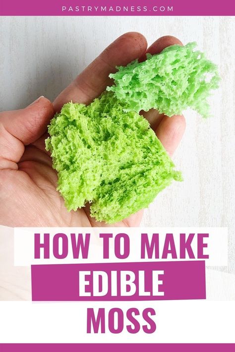 How To Make Edible Green Moss, Grass Cake Decoration, How To Make Edible Trees For Cakes, Edible Grass Ideas, How To Make Trees For Cakes, Cake Moss Recipe, Cake Moss Tutorial, Diy Edible Moss For Cake, Moss Cake Recipe