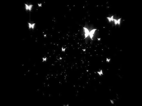 Butterfly Overlay, Night Sky, In The Dark, Butterflies, White