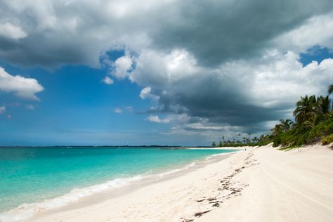 One of the many beaches on New Providence Island in Nassau Bahamas. Many of the Things to see in Nassau Bahamas are located on Paradise Island. Cabbage beach is the best beach on Paradise Island. Pig Island, Swimming Pigs, Atlantis Bahamas, Bahamas Travel, Nassau Bahamas, The Cloisters, Perfect Weather, The Bahamas, Paradise Island