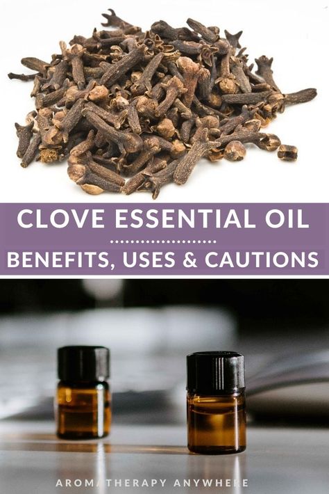 Clove Essential Oil Benefits, Uses & Cautions - Aromatherapy Anywhere Aromatherapy Workshop, Clove Essential Oil Benefits, Clove Oil Uses, Clove Oil Benefits, Cloves Benefits, Homemade Cleaning Supplies, Magickal Herbs, Thieves Essential Oil, Essential Oils For Headaches