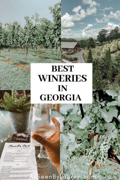 Georgia Wineries, Lisa Birthday, Things To Do In Georgia, Types Of White Wine, Explore Georgia, Lawrenceville Georgia, Georgia Travel Guide, Mountain Weekend, Ellijay Georgia