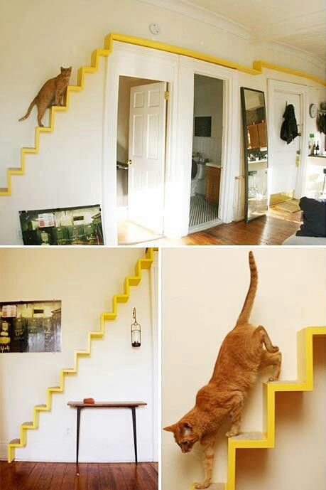 Cat stairway-but make the color blend in with the wall Cats Climbing, Cat Walkway, Cat Climbing Wall, Katt Grejer, Cat Ladder, Cat Stairs, Cat Wall Shelves, Diy Cat Tree, Cat Playground