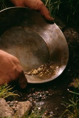 North To Alaska, Gold Panning, Panning For Gold, California Gold Rush, Scrap Gold, The Gold Rush, Gold Prospecting, Rock Hunting, California Gold