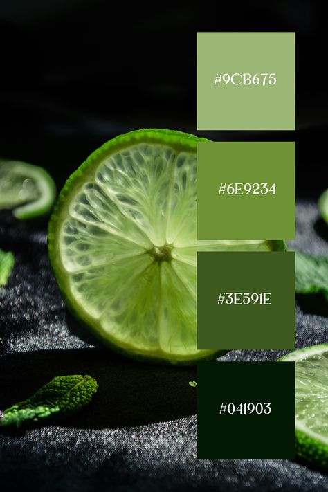 A close-up of a lime slice showcases the vibrant lime green color palette with its fresh and juicy interior. The contrast between the bright green lime and the dark background highlights the vividness of the color. Spring Green Color Palette, Color Palette With Emerald Green, Fresh Green Colour Palette, Color Palette With Lime Green, Color Combinations Green, Lime Color Palette, Lime Colour Palette, Pistachio Color Palette, Apple Green Color Palette