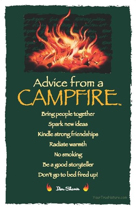 ☆ Advice from a Campfire ~:By Ilan Shamir ☆ Art Postcards, Animal Spirit Guides, Advice Quotes, Pillow Talk, True Nature, Nature Quotes, Spirit Guides, Good Advice, The Words