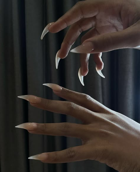 Cat Claw Acrylic Nails, Corpse Nails, Megan Thee Stallion Nails, Fang Nails, Claw Nails Designs, Talon Nails, Vampire Nails, Sharp Nails, Gothic Nails