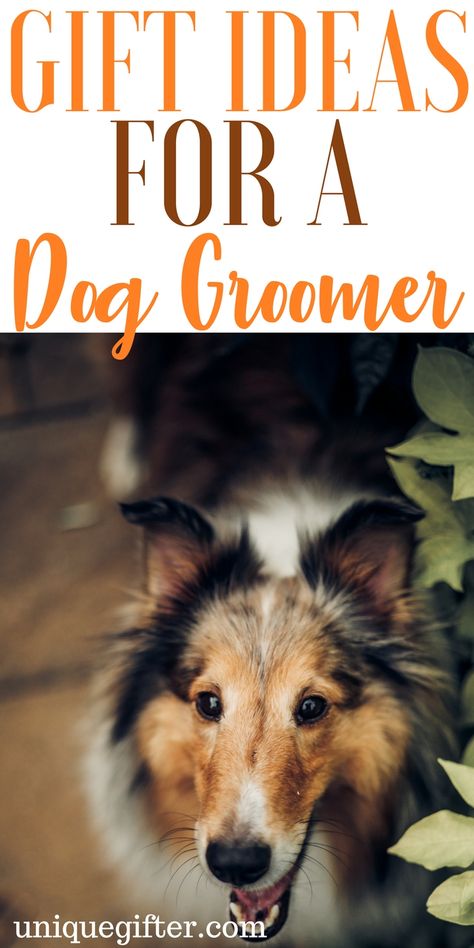 Gift Ideas for a Dog Groomer | How to apologize to a dog groomer | My dog hates grooming visits | Ways to thank a dog groomer | Dog Groomer Christmas Gift Ideas | Fun gifts for a dog groomer | Dog lover gift ideas Christmas Gift Ideas For Dog Grooming Clients, Groomer Gift Ideas, Dog Daycare Gifts, Dog Groomer Gift Ideas, Dog Groomer Quotes, Dog Groomer Christmas Gift Ideas, Dog Christmas Presents, Dog Groomer Gifts, Dog Christmas Gifts