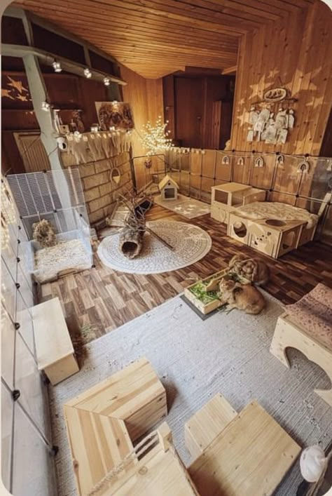 Rabbit Room Ideas, Rabbit Enclosure Ideas, Rabbit Setup, Bunny Room Ideas, Indoor Bunny House, Rabbit Playground, Bunny Sheds, Rabbit Enclosures, Bunny Enclosure