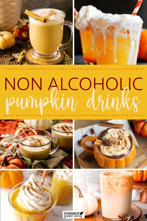 Non Alcoholic Pumpkin Drink Recipes Non Alcoholic Pumpkin Drinks, Pumpkin Drinks Nonalcoholic, Fall Drinks Nonalcoholic Crockpot, Pumpkin Mocktail Recipe, Fall Non Alcoholic Drinks, Non Alcoholic Fall Drinks, Fall Mocktail Non Alcoholic, Fun Fall Drinks, Apple Pie Punch