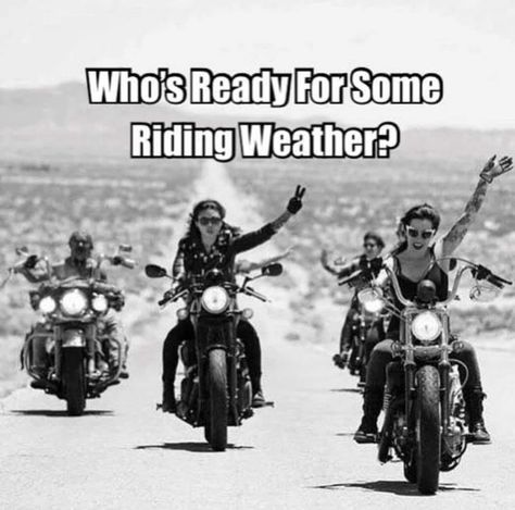 Rider Quotes, Motorcycle Memes, Women Bikers, Disk Golf, Harley Women, Harley Davidson Quotes, Female Motorcycle, Female Motorcycle Riders, Bike Quotes